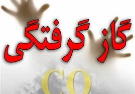 کاهش آمار گازگرفتکی در سال 1404 نسبت به سال 1403 کاهش یافت